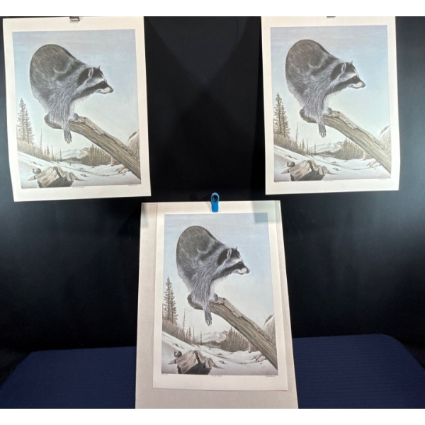 Alex Halliburton 3 Copies of Spring Forager 21.5Tx16.5W