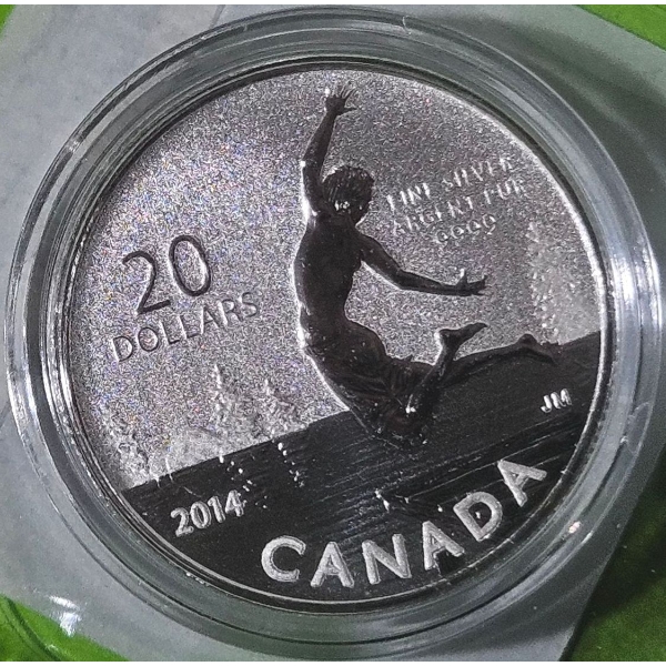 2014 $20 for $20 'Summertime' - 99.9% Fine Silver Coin - #1