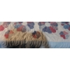 Image 3 : Quilt and Matelasse Style Cover w/ Pillowcases- Some Staining as Shown