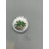 Image 1 : 2002 Canada $5 Green Coloured Silver Maple Leaf