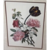 Image 2 : Print of Flowers 24.5 X 30, Framed Under Glass