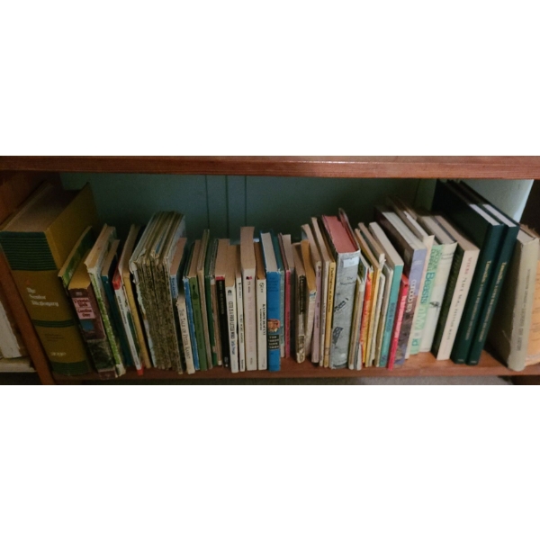 Classic Children's Books Including: "Tale of Peter Rabbit", Little Golden Books and More!