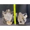 Image 12 : Orthoceras and Ammonite Fossil Specimen Statues
