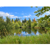 Image 6 : COWICHAN VALLEY, BC

6821 Lakes Rd, Cowichan Valley, British Columbia V9L 5W4

An exceptional opport