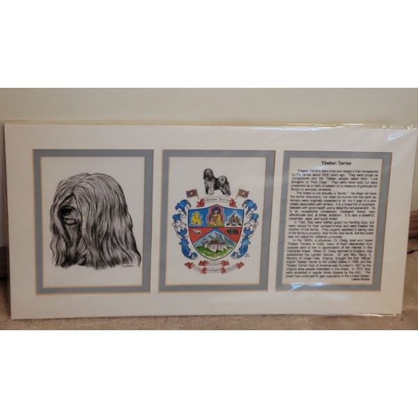 Bruce Lebold Tibetan Terrier Code of Arms Portrait 