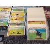 Image 12 : Upper Deck Looney Toons Baseball , Harley Davidson ,Classic Cars, Marvel and DC Collectors Cards