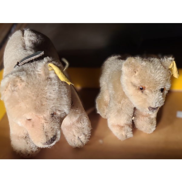 - Vintage Steiff Bears 8 W, 5 T and 5.5 W, 4.5 T- No Tags