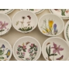 Image 10 : Vintage 1972 Portmeirion "The Botanic Garden" Dish Set - Some Pieces Missing 