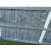 Image 4 : Assorted Garden Decor, Metal Geese, Whatever you can Remove (Hornet Nest Around 1Pc), As Pictured  