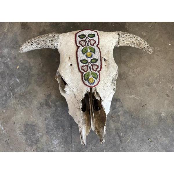  weathered cow skull with beaded headpiece.