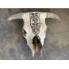 Image 1 :  weathered cow skull with beaded headpiece.