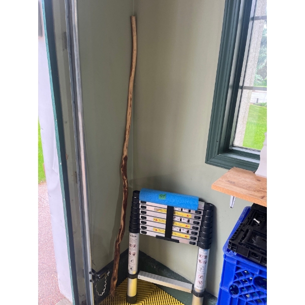 10' Extendable Ladder & Walking Stick 