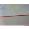 Image 5 : "A Polar Bear's Dream", Artist: Wendy Tosoff, 28/500,Offset Lithograph Framed Under Glass 29 X 37.5 