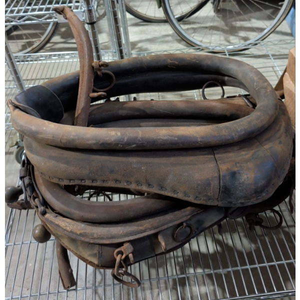 Antique Equestrian Essentials - Horse Hames & Padded Collars w/ Large Storage Tote 