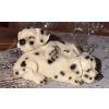 Image 5 : Dalmatian Dog Figurine and Plate Collection