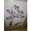 Image 2 : Red Parrot Tulip Print Framed Under Glass (Bombay Company) 32 X 37 