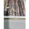 Image 3 : "White-tailed Deer Through the Birches" Framed Signed Print
