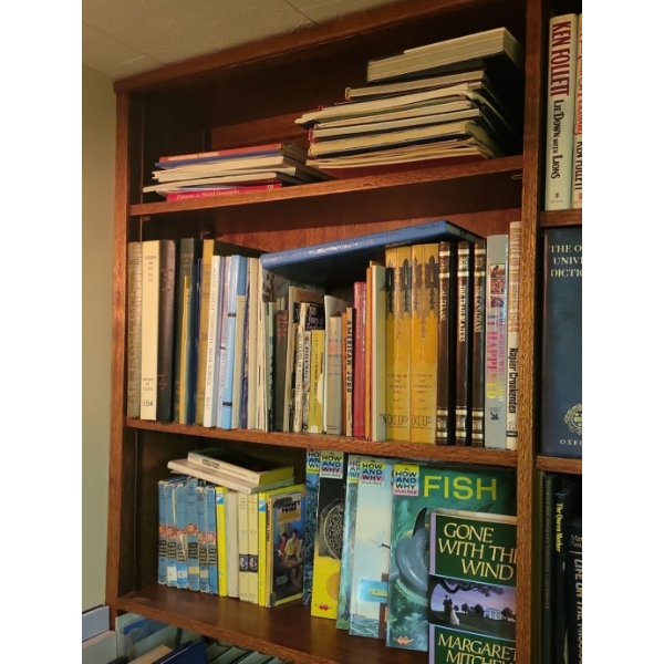 3 Shelves Worth of Assorted Books 