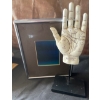 Image 4 : Palmistry Hand Sculpture Caged Bird Skeleton & Cockatiel Figurine 