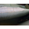 Image 3 : Antique Green Couch with Carved Wooden Details, Includes Blankets and Cushions 76 L, 35 T, 24 W