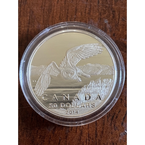2014 $50 for $50 Snowy Owl - Pure Silver Coin