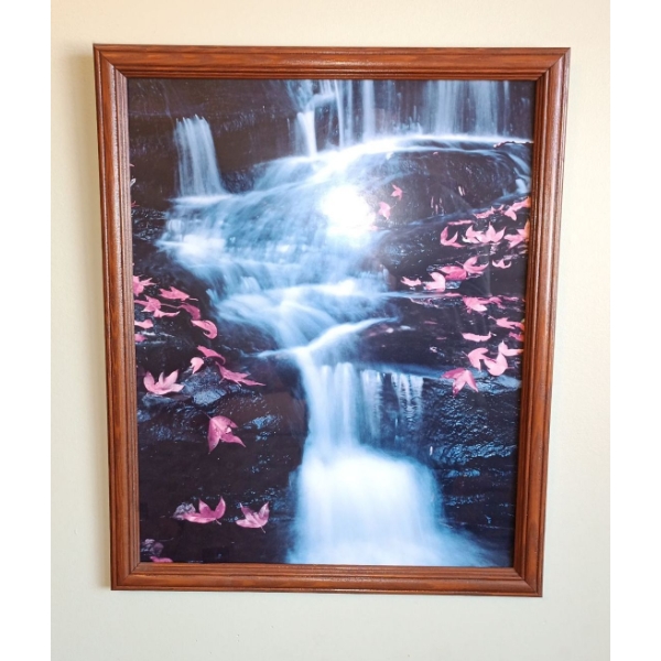 Framed Photos (3) - 14x20, 18x22 