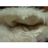 Image 7 : Lovely Becca Beel Sheepskin Pelts Jacket, Size S/M, With Hat 