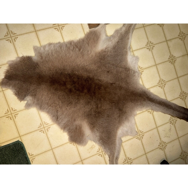 Deer Hide Rug