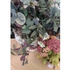 Image 4 : Wooden TV Cabinet 46 W, 23 D, 30 T and Artificial Plants- Largest Pot: 11" Diameter, 9 T 