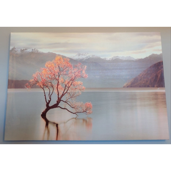 Landscape Art Print On Canvas 30x36
