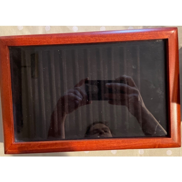Wooden Glass Box Case for Pens 