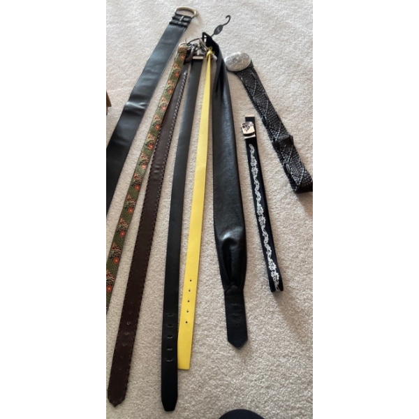 Ladies Belt Collection Size Large 