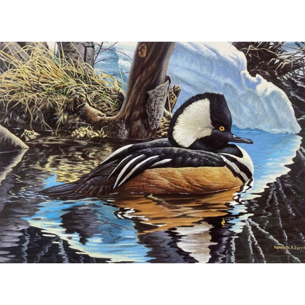 Ken Ferris "Early Spring: Hooded Merganser" Signed Wildlife Habitat Canada Print