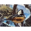 Image 1 : Ken Ferris "Early Spring: Hooded Merganser" Signed Wildlife Habitat Canada Print