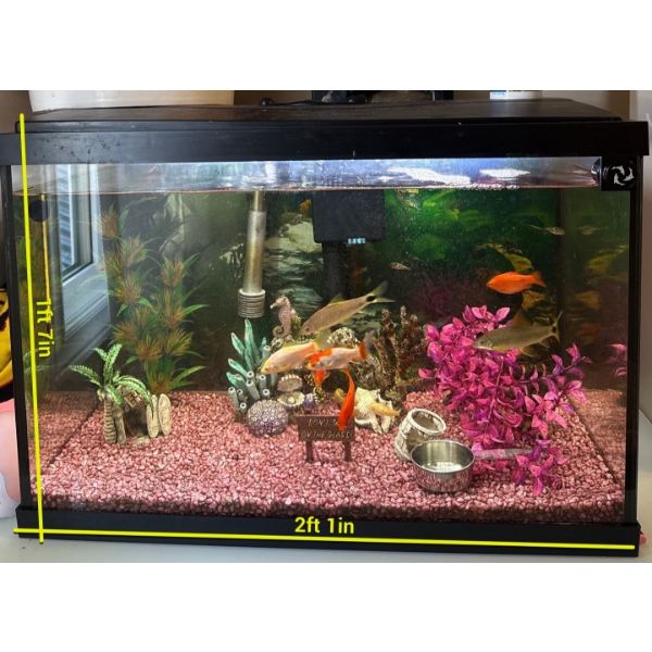 Freshwater Aquarium Setup ft/ Faux Plants Rock & Several Fish 