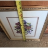 Image 6 : Framed Floral Watercolor Signed by Helen Saunders