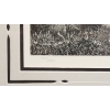 Image 7 : Glenn Korgaard Signed Limited Edition Wildlife Prints in Wooden Frames