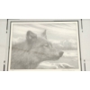 Image 10 : Glenn Korgaard Signed Limited Edition Wildlife Prints in Wooden Frames
