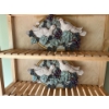 Image 4 : Shelf With Small Had Woven Carpet Shoes & 2 Doves In A Pair Tree