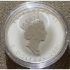 Image 3 : 2001 Canadian Silver Maple Leaf "Maple of Good Fortune" Hologram Coin 99.9% Silver 31.1 Grams
