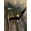 Image 2 : Framed Woodland Scene with Bald Eagle Print in Green and Gold-Accented Frame
