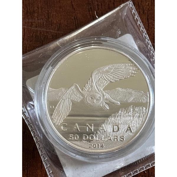 2014 $50 for $50 Snowy Owl - Pure Silver Coin