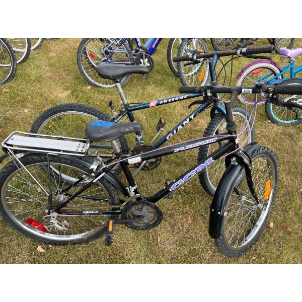  2 mountain bikes, one giant and one CCM pursuit