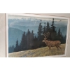 Image 2 : Robert Bateman's "Black Tailed Deer In The Olympics" Art Print  471/950  39"x 31" tall  