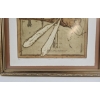 Image 3 : A Detailed Dragonfly Superimposed Over Technical Drawings Or Measurements 18''IN W , 21''IN H