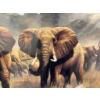 Image 2 : Framed Print of Elephants in a Savanna Setting