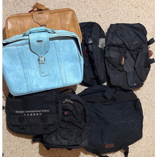 Travelers Luggage Collection 