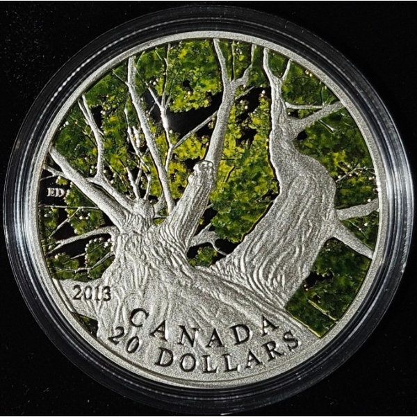 2013 $20 Maple Canopy: Spring - 99.9% Fine Silver Coin