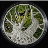 Image 1 : 2013 $20 Maple Canopy: Spring - 99.9% Fine Silver Coin
