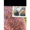 Image 3 : 2014 $20 Baby Animals: Beaver - Pure Silver Coin and Stamp Set 1oz low mintage